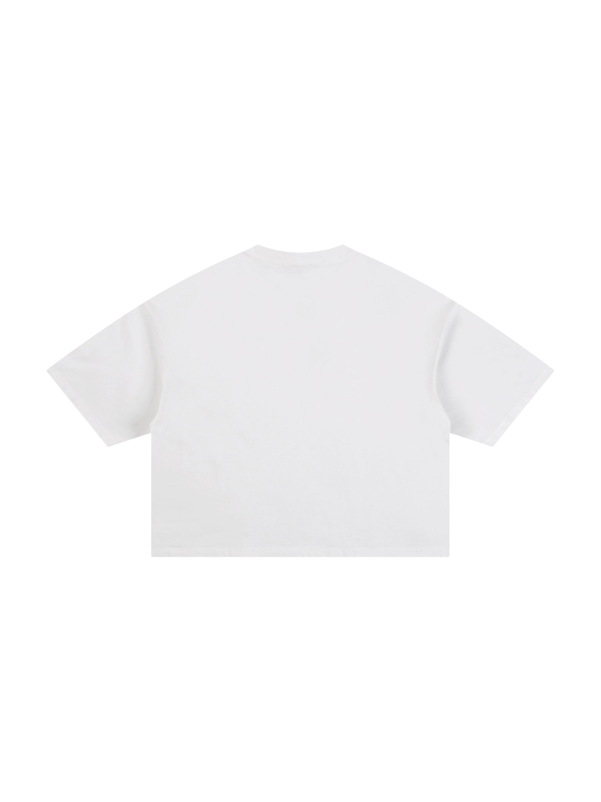 Classic Frayed Boxy Tee