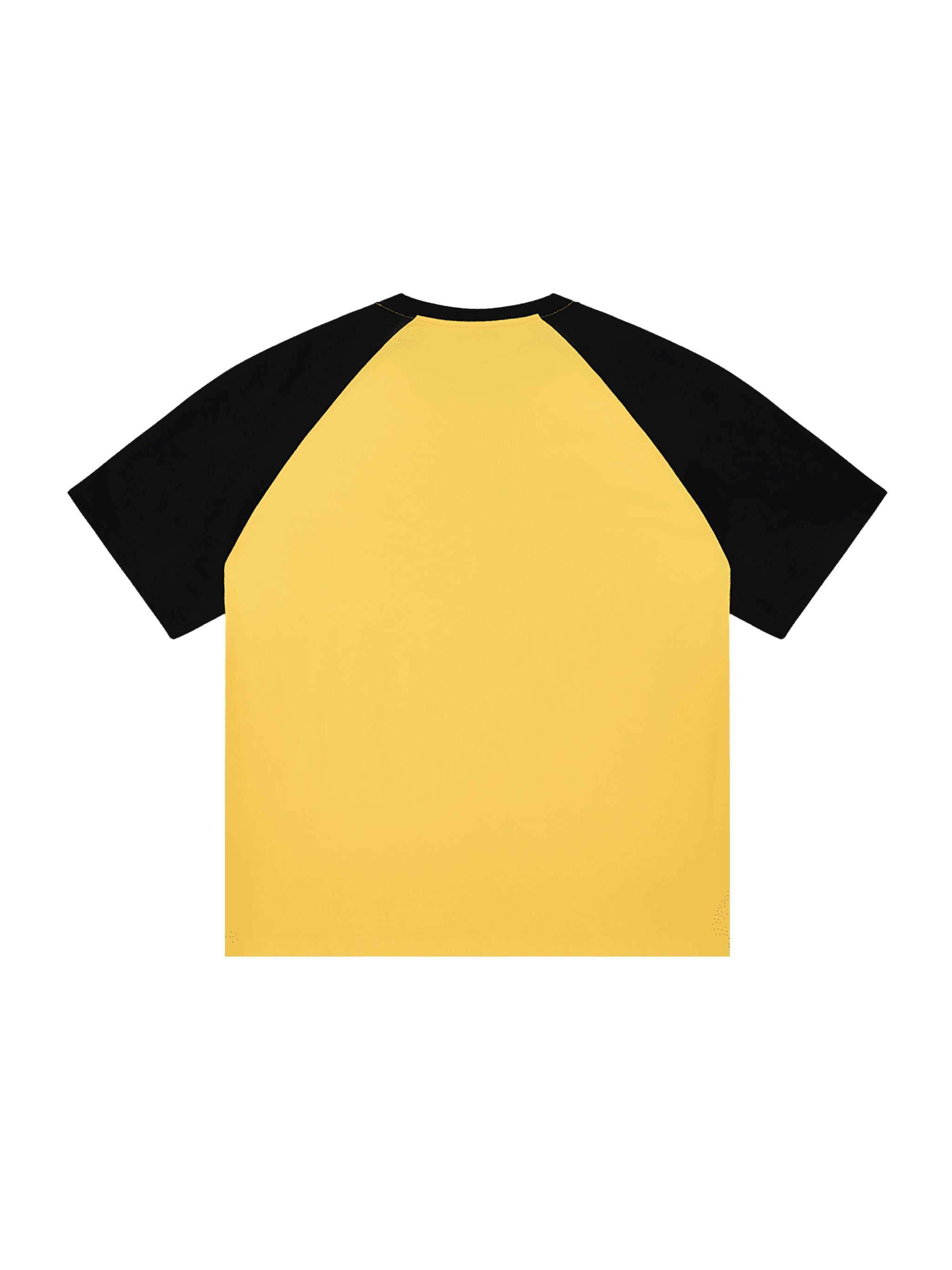 Color-Blocked Raglan Sleeve T-Shirt