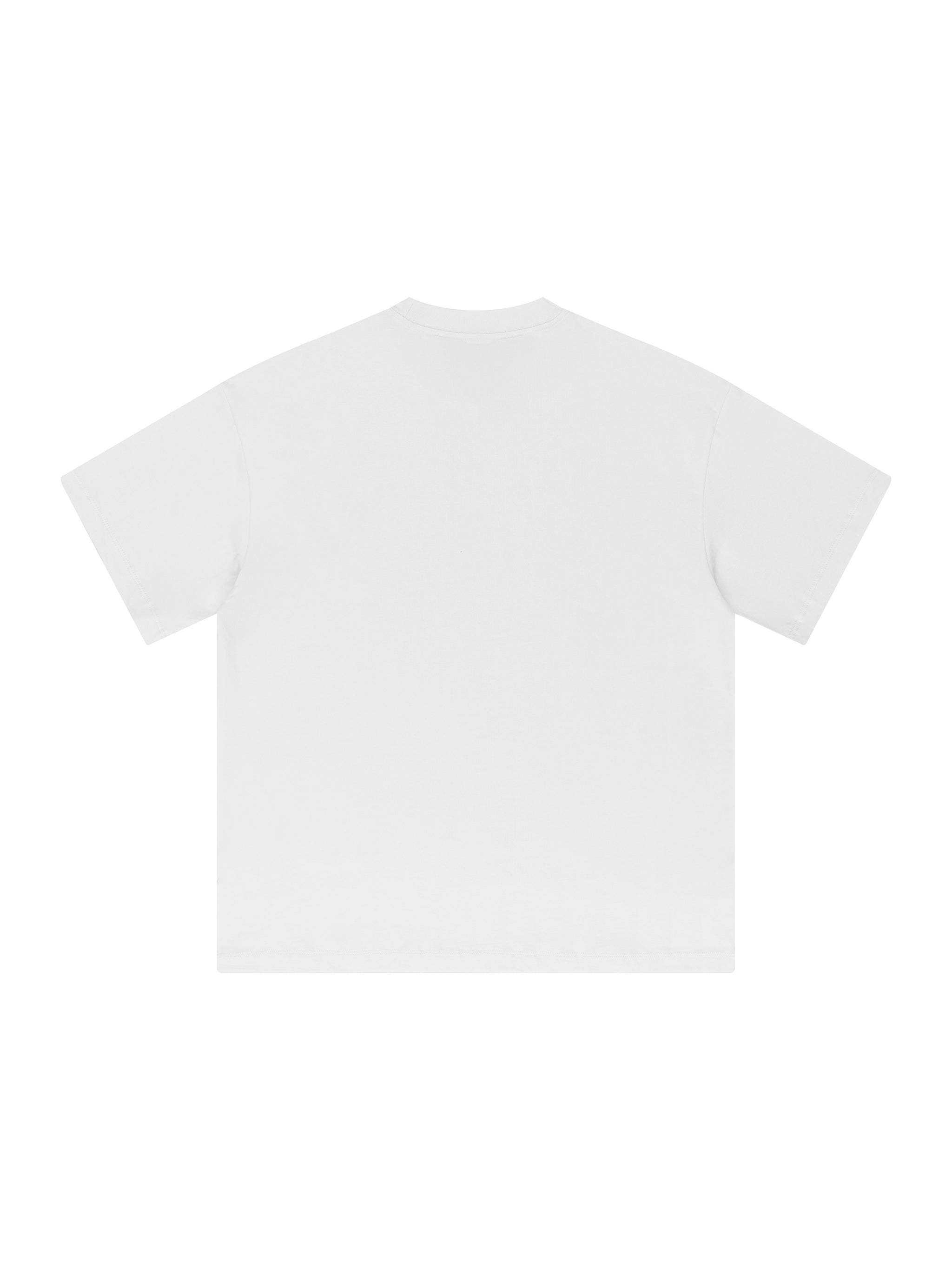 Heavyweight Earth Tone T-Shirt