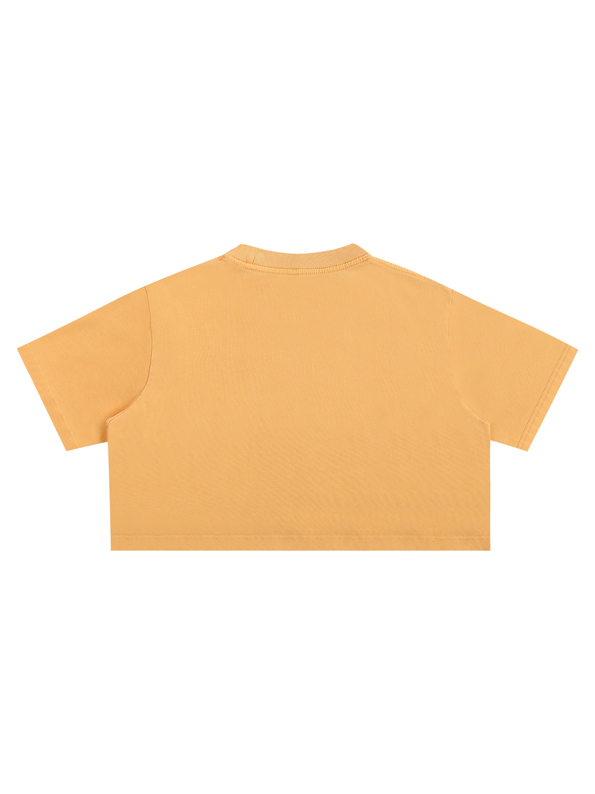 Snow Washed Crop Top