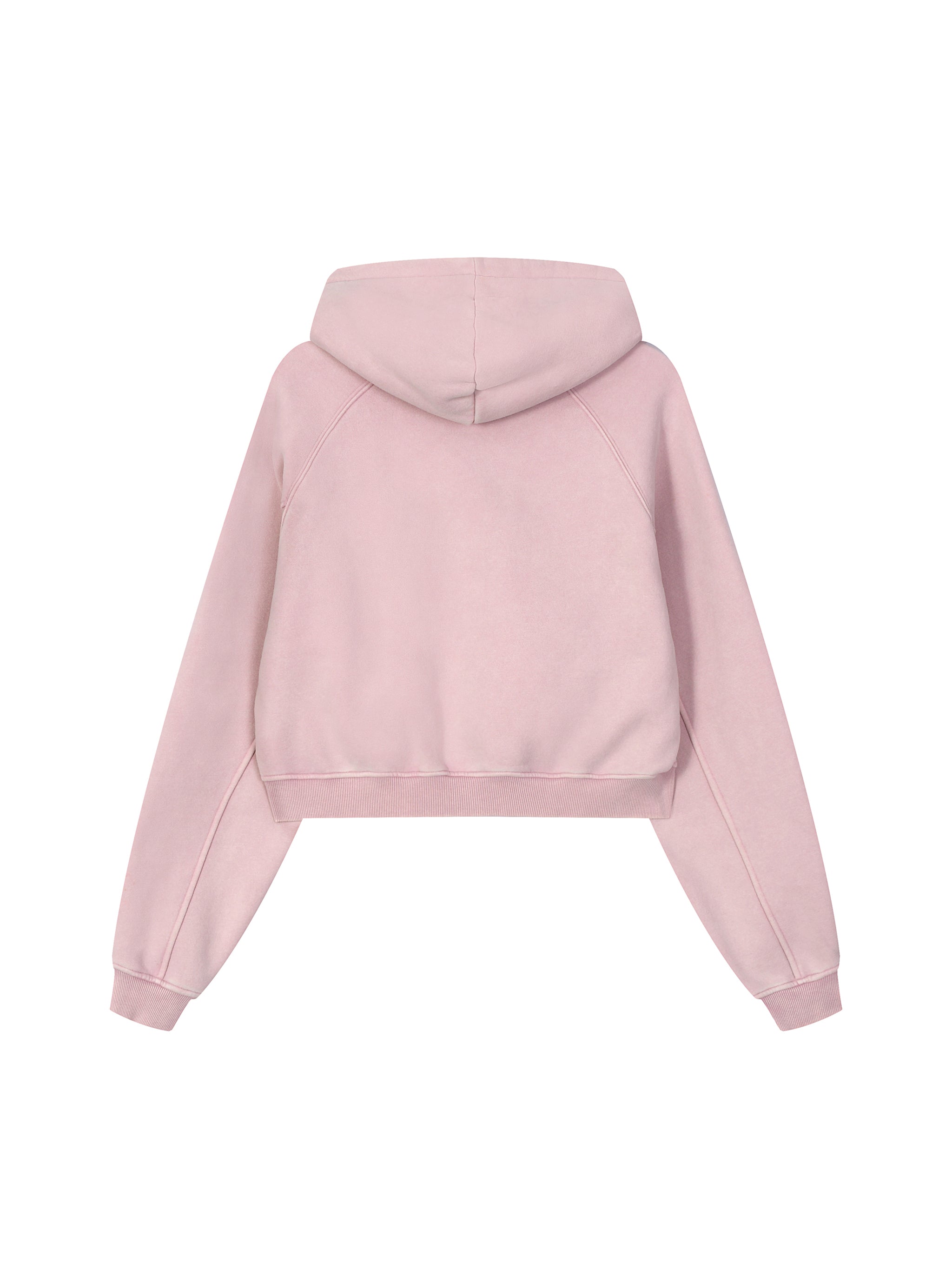 Snow Washed Cropped Hoodie