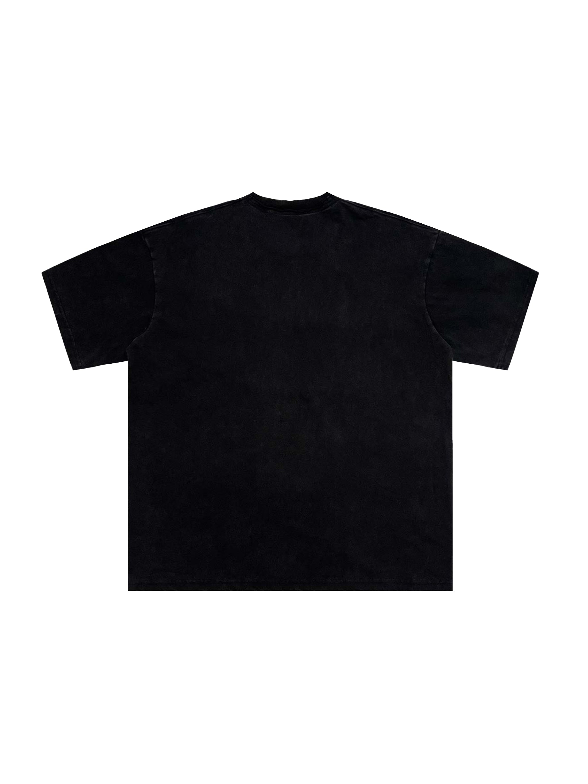 Snow Washed Raw-Edge Neckline T-Shirt