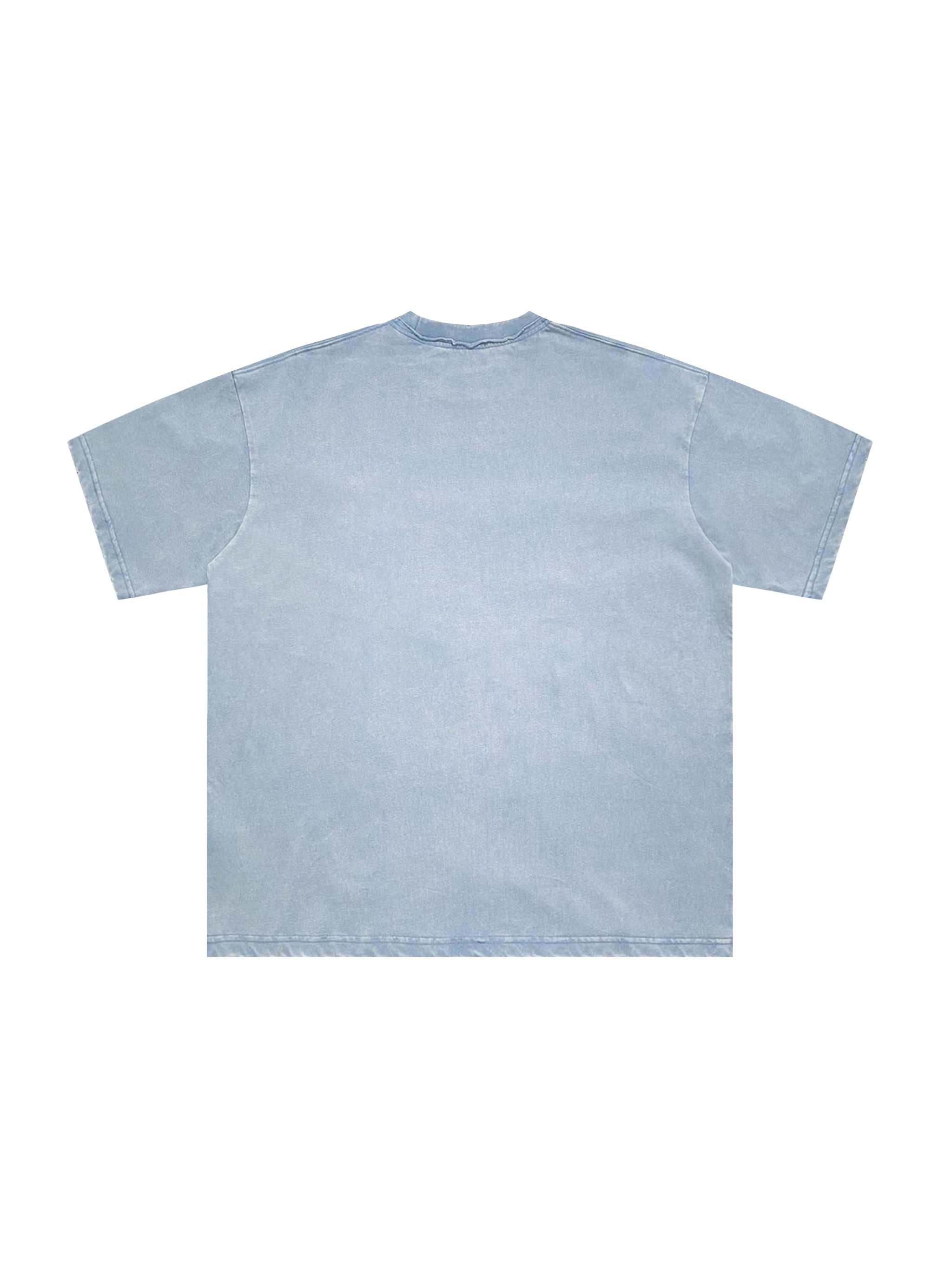 Snow Washed Raw-Edge Neckline T-Shirt