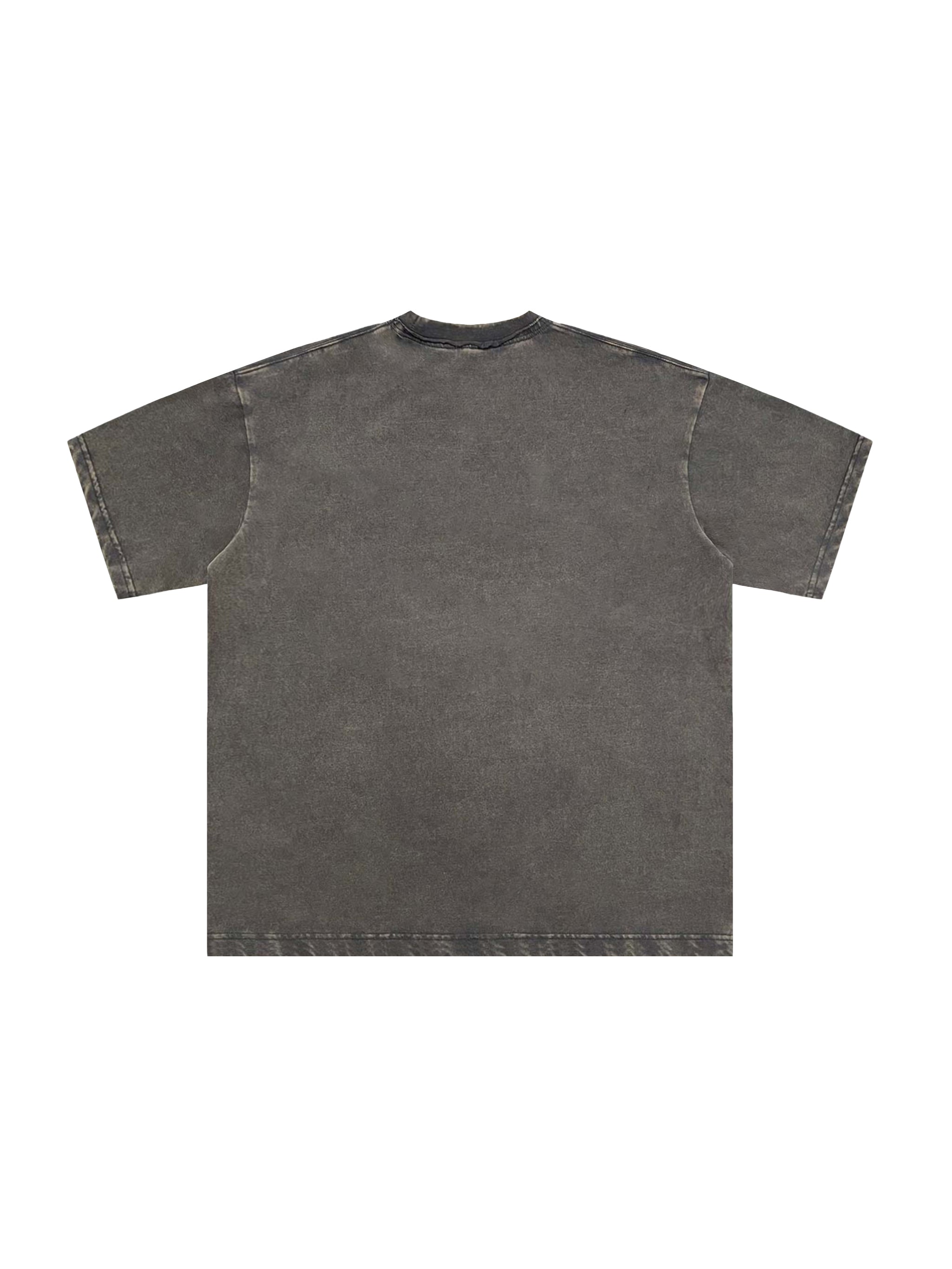 Snow Washed Raw-Edge Neckline T-Shirt