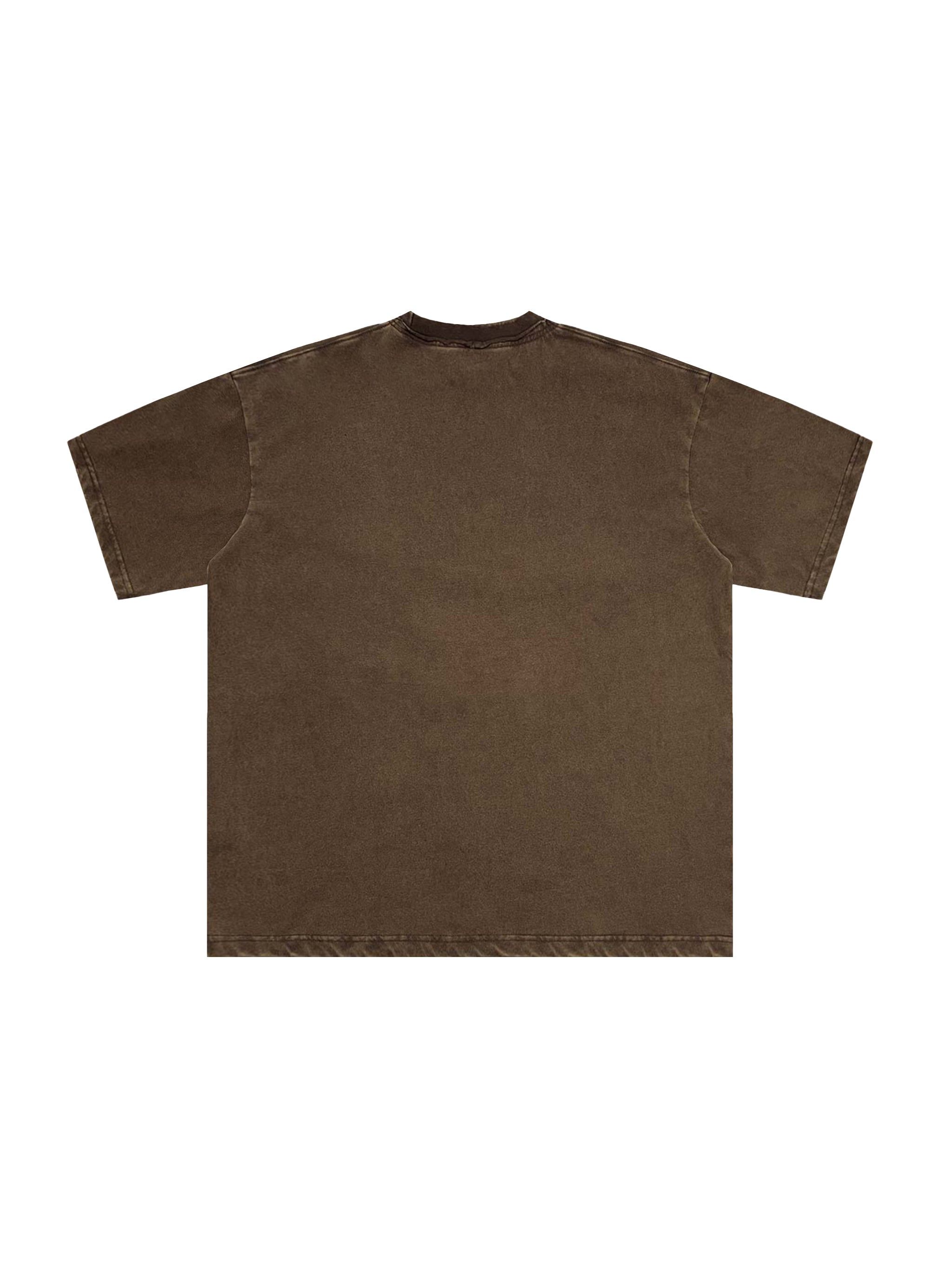 Snow Washed Raw-Edge Neckline T-Shirt