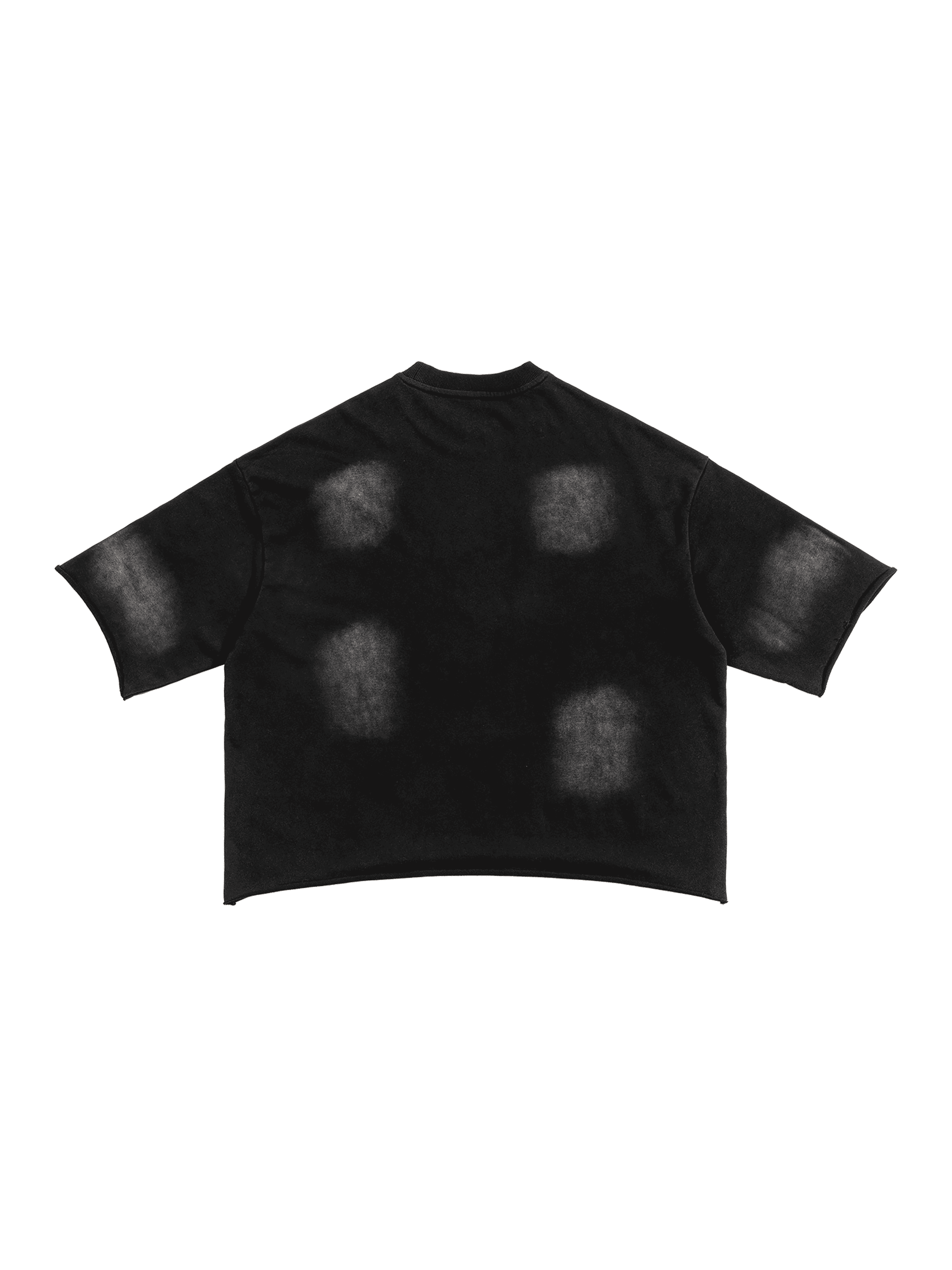 Sunfade French Terry Raw Edge T-Shirt