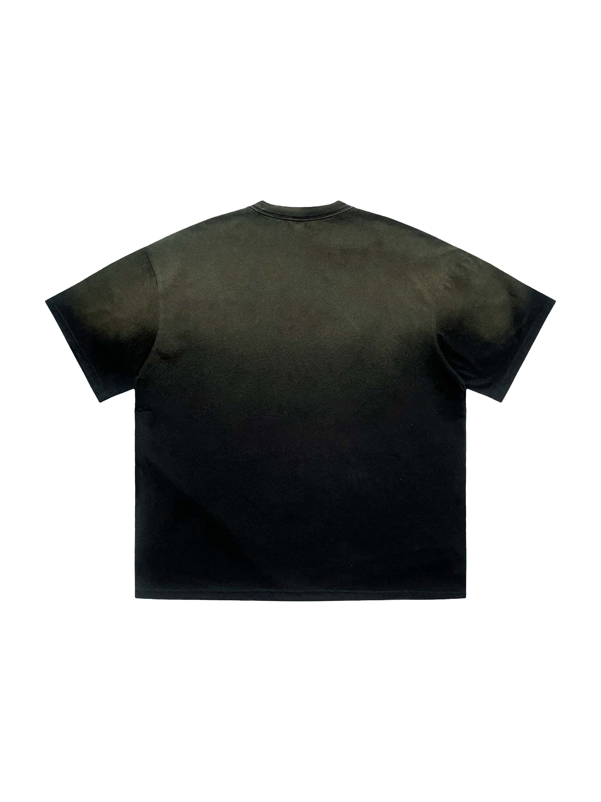 Tiger Stripe Gradient Washed T-Shirt - Men