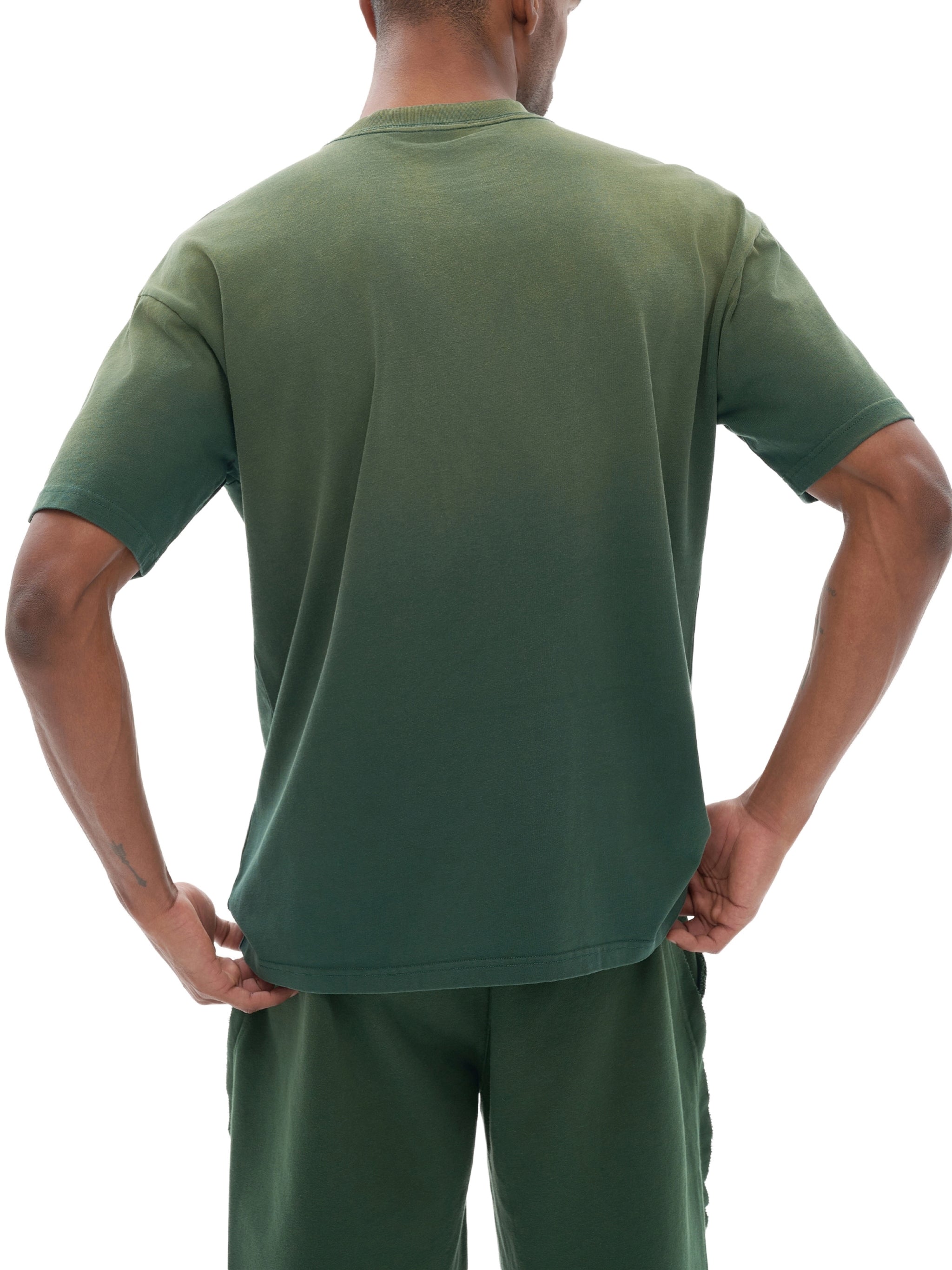 Tiger Stripe Gradient Washed T-Shirt - Men