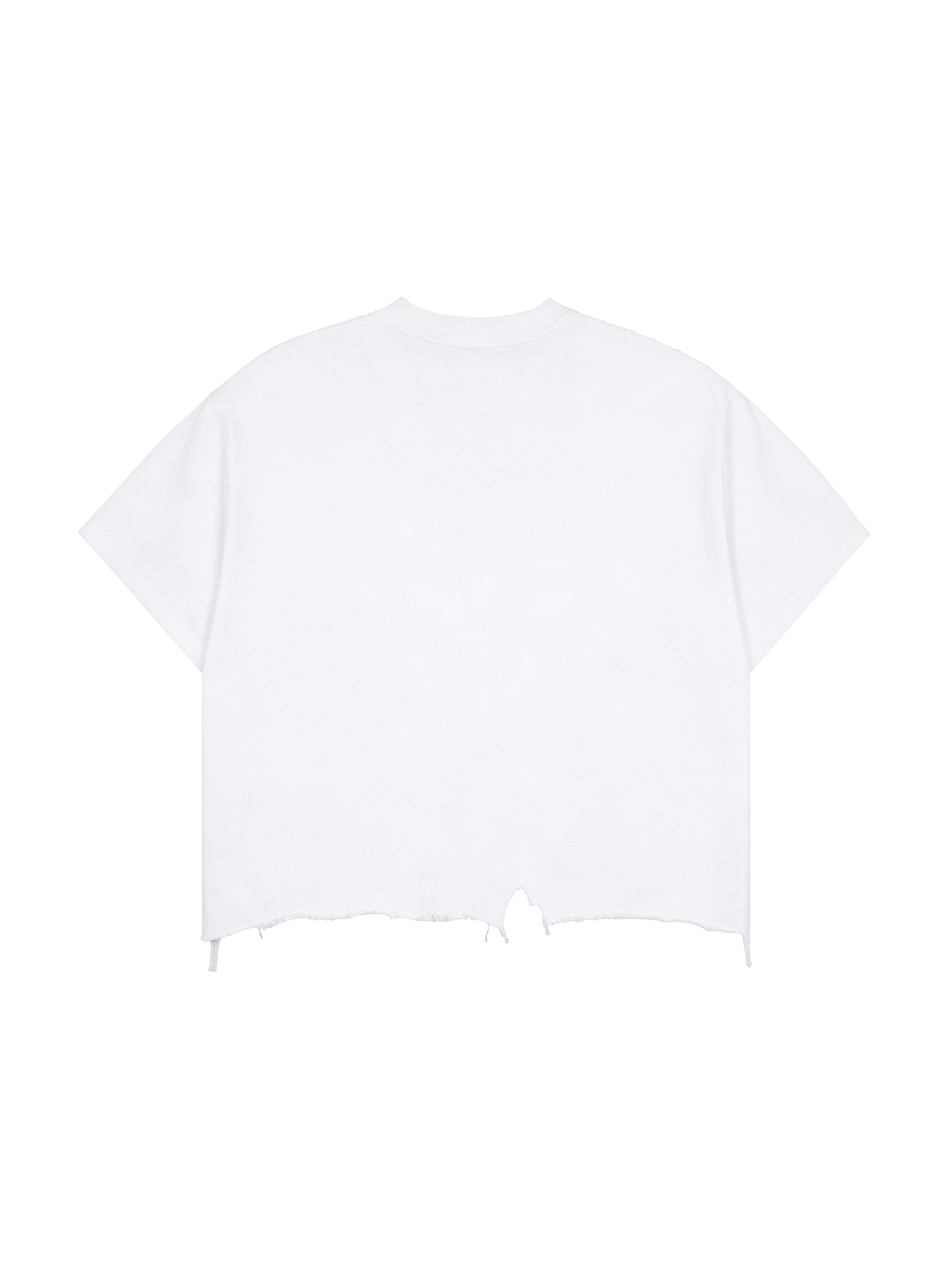Vintage Wash Boxy Distressed Hem T-Shirt