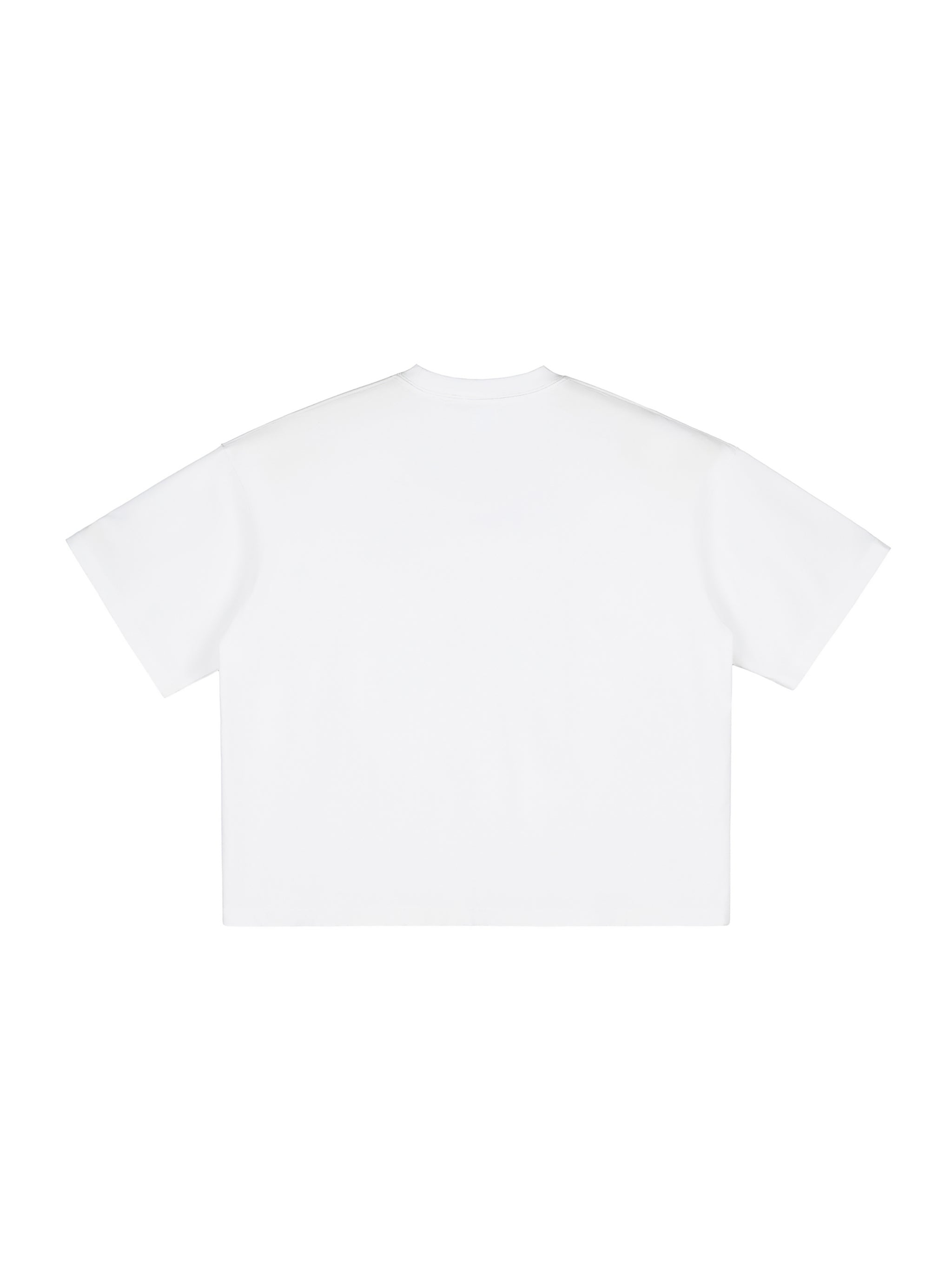 Vintage Washed Boxy T-Shirt