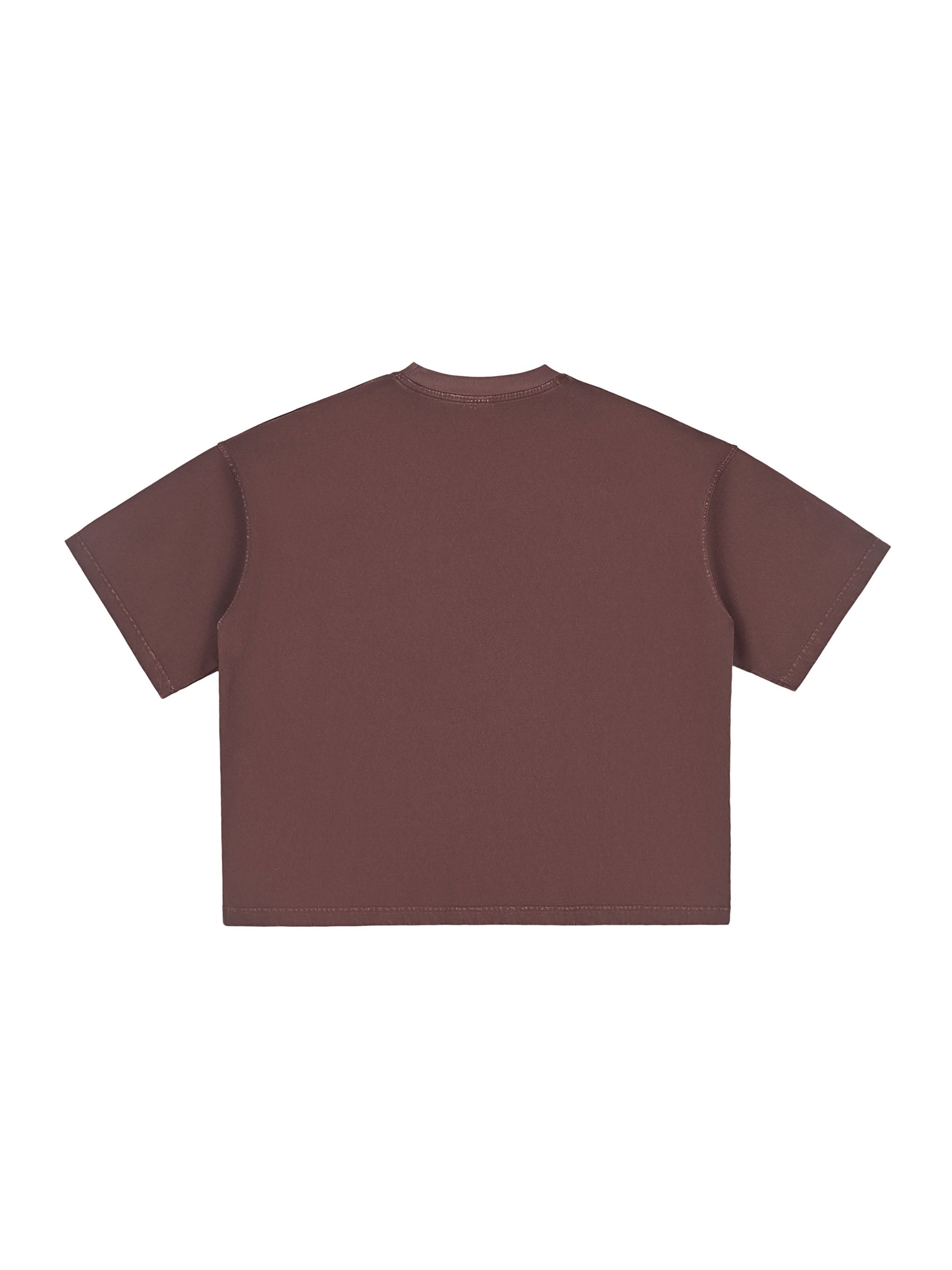 Vintage Washed Boxy T-Shirt