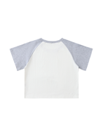 Color-Blocked Raglan Sleeve Crop Top