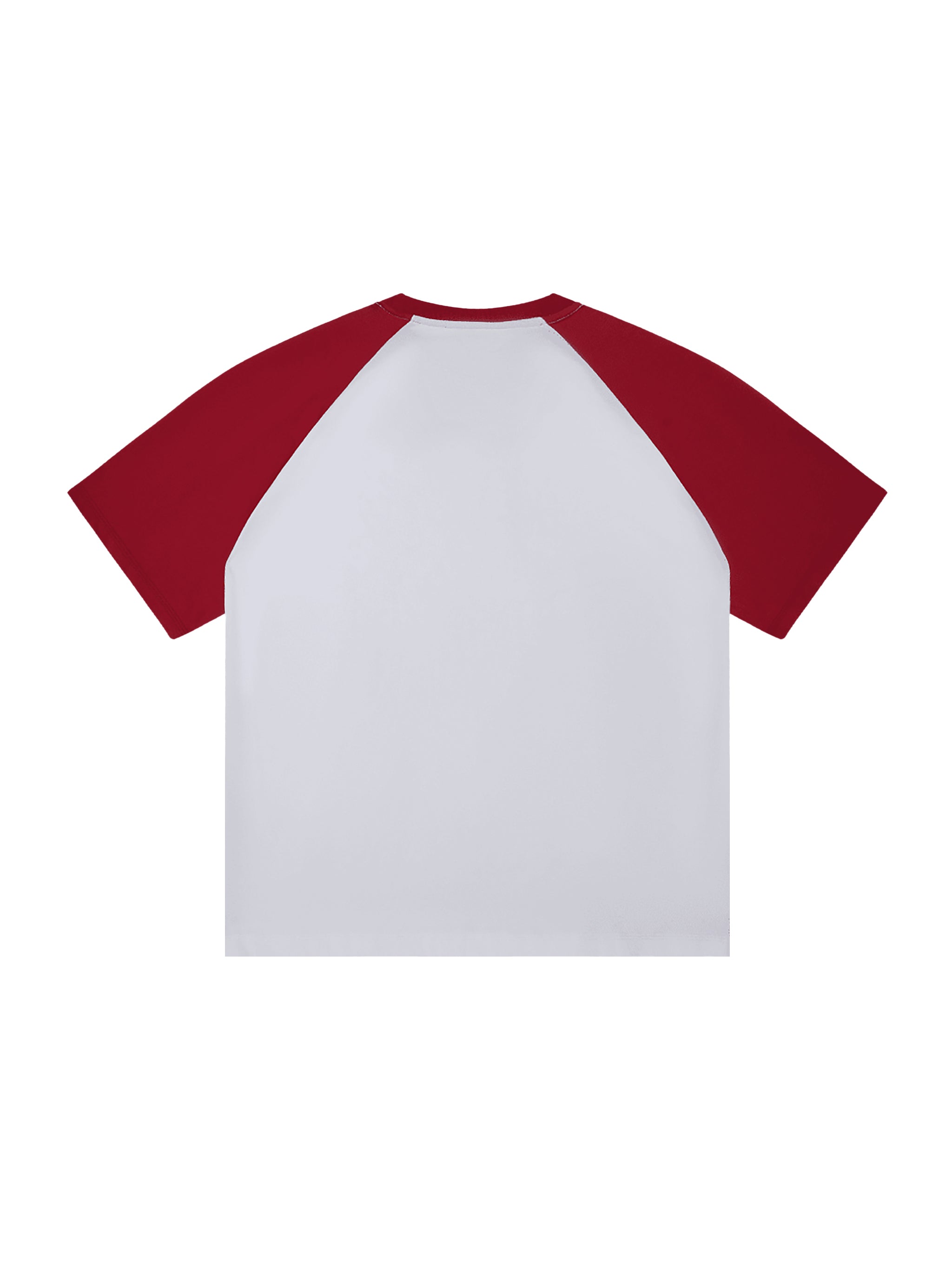 Color-Blocked Raglan Sleeve T-Shirt