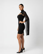 Woman wearing a black dress with sheer panels on a white background