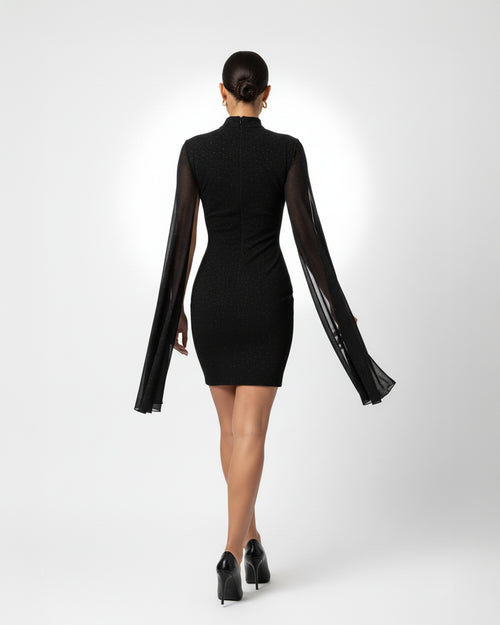 Black dress with sheer sleeves worn by a model on a white background