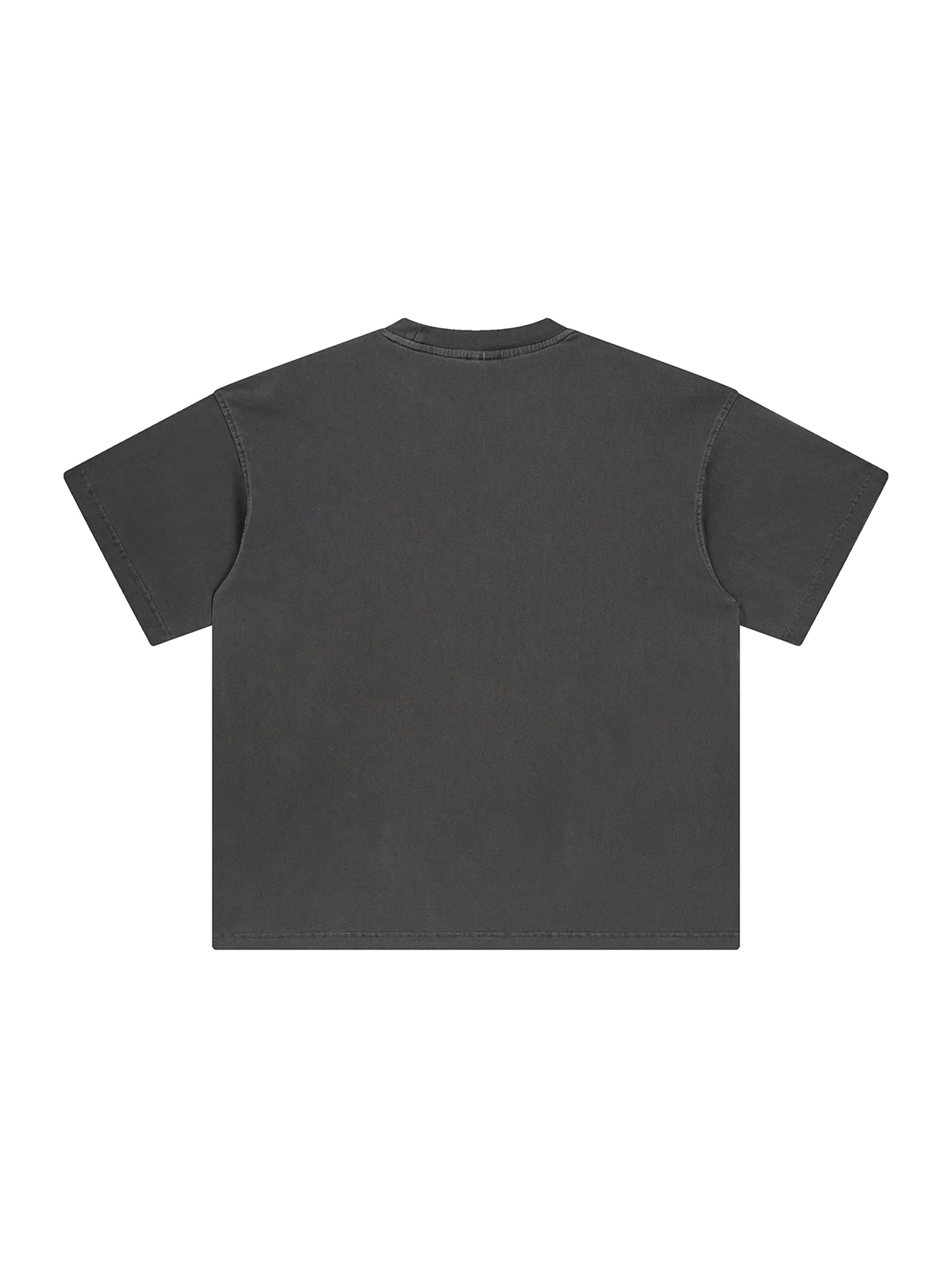 Enzyme Washed T-Shirt