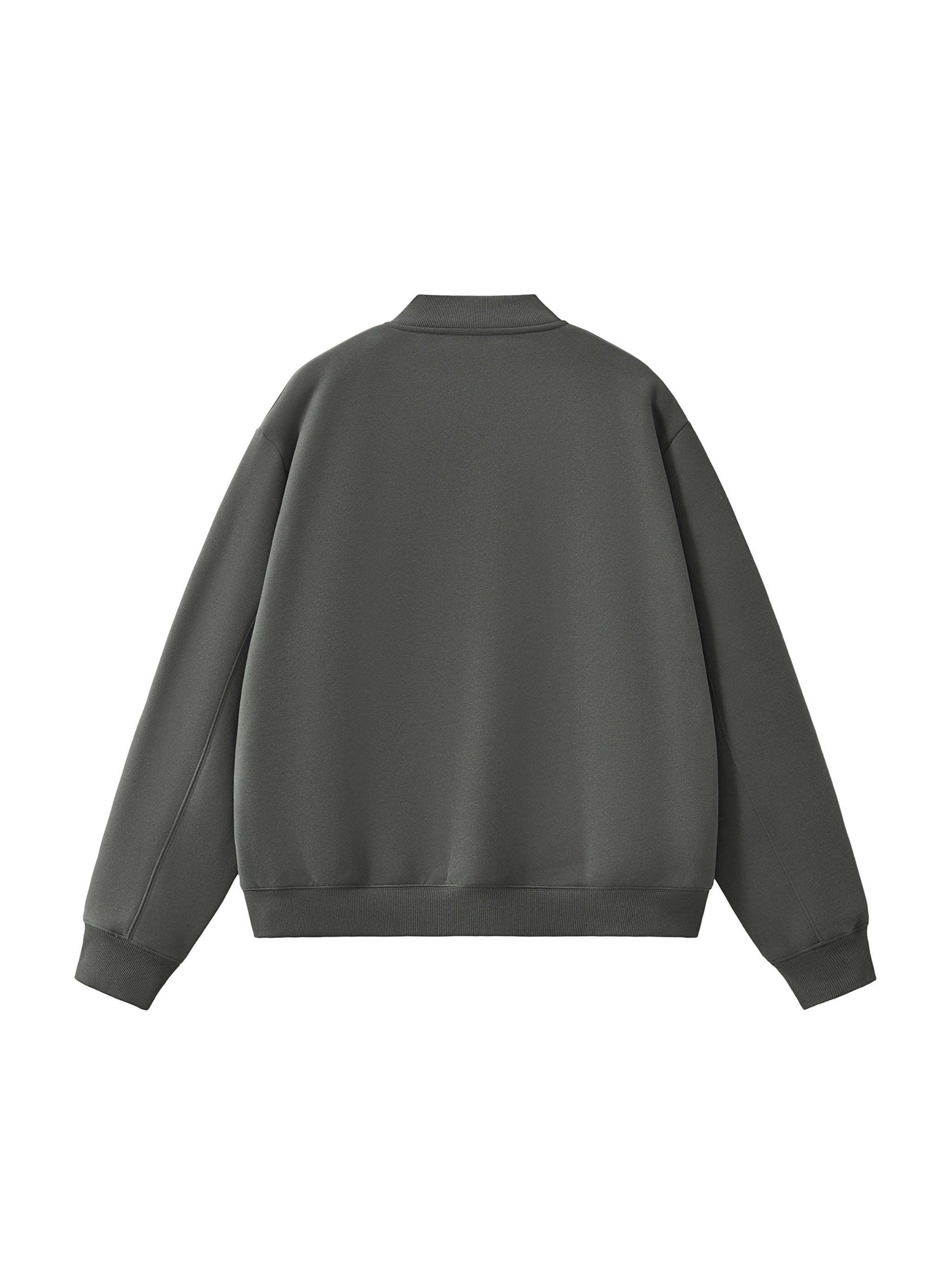 Essential Zip-Up Fleeced Varsity Jacket