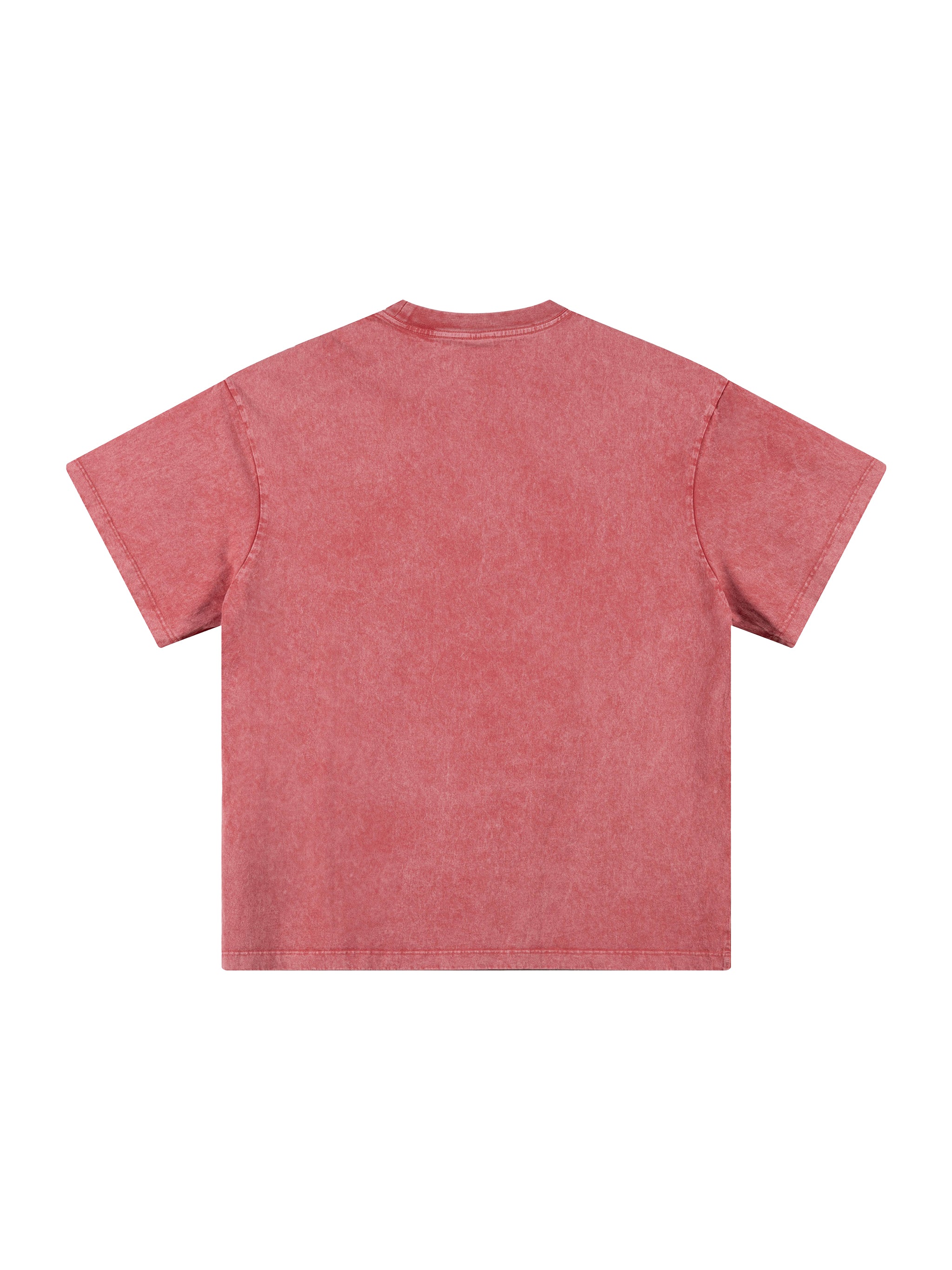 Heavyweight Snow Washed T-Shirt