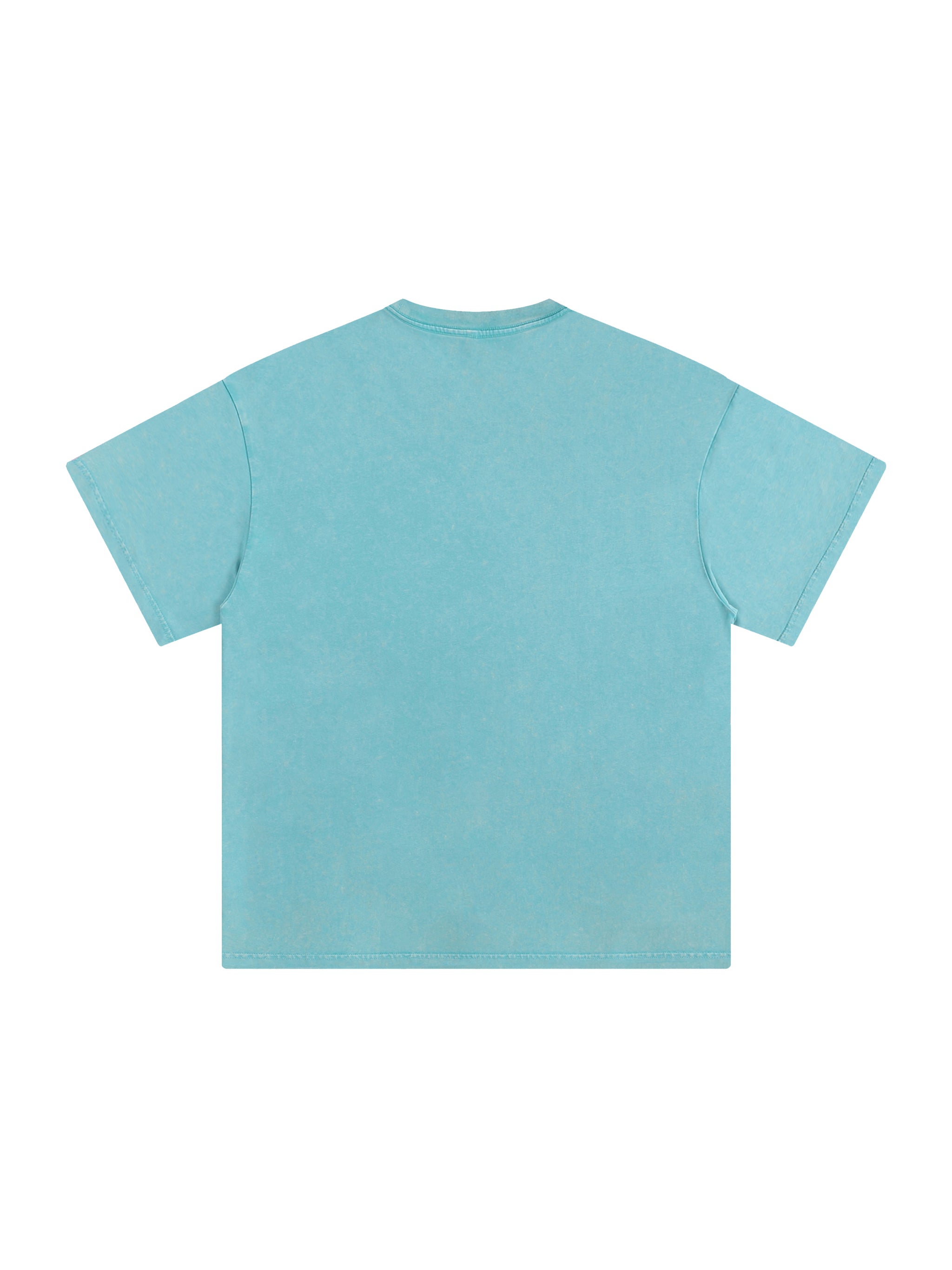 Heavyweight Snow Washed T-Shirt