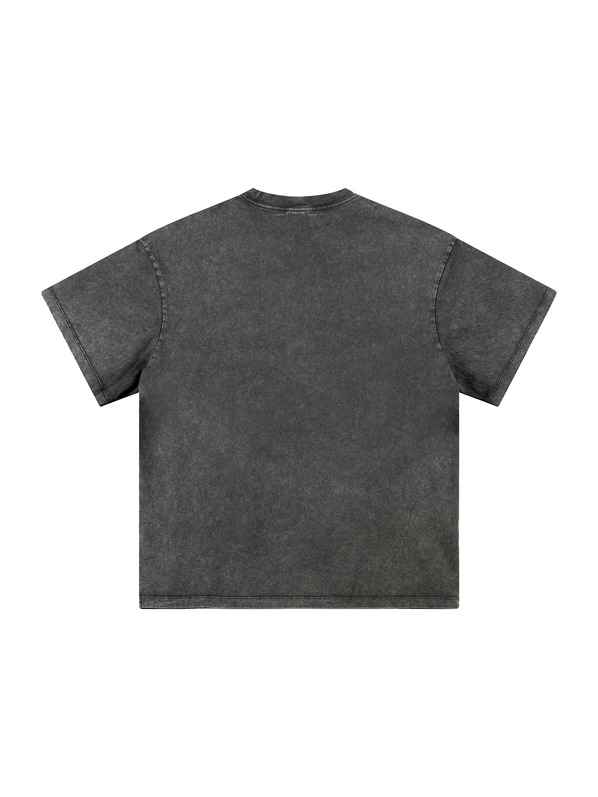 Heavyweight Snow Washed T-Shirt