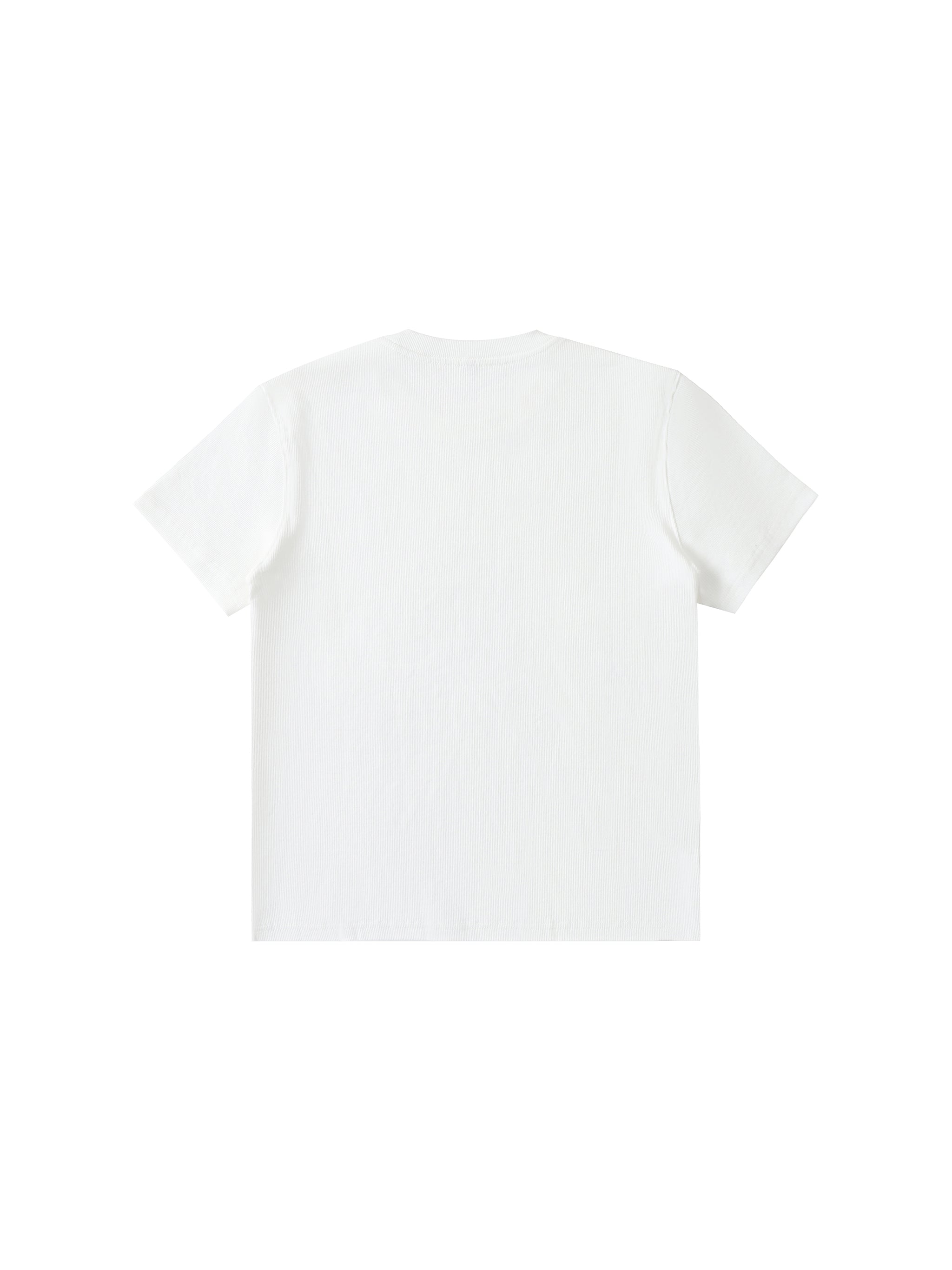 Men's Bodycon Ribbed Crop Top