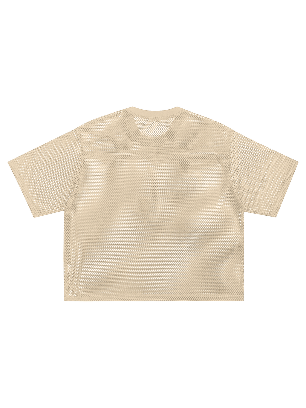See-through Boxy Net T-Shirt-M