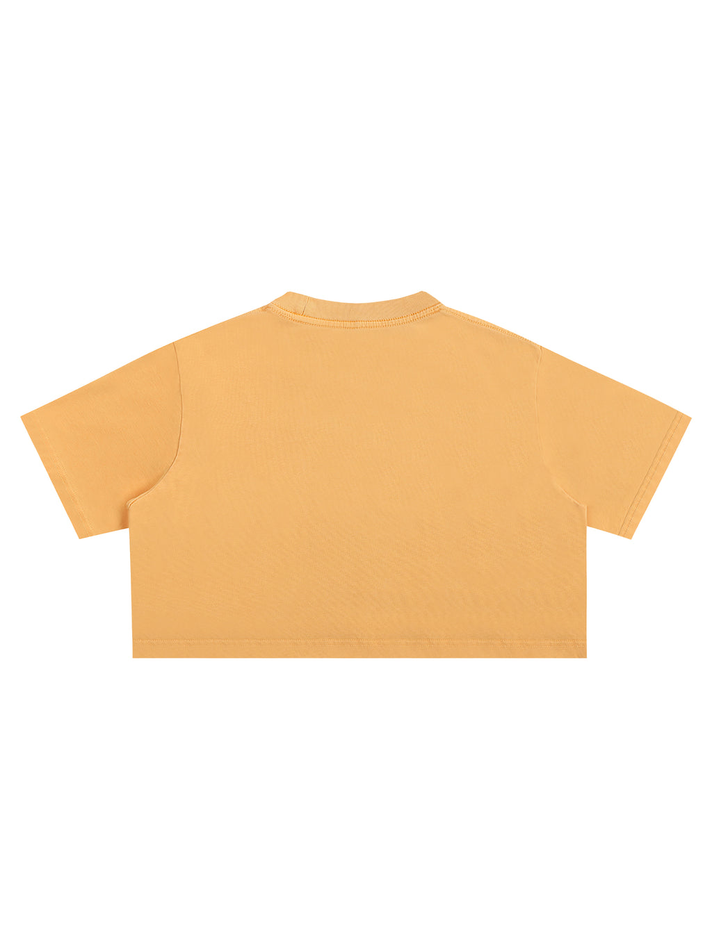 Snow Washed Crop Top