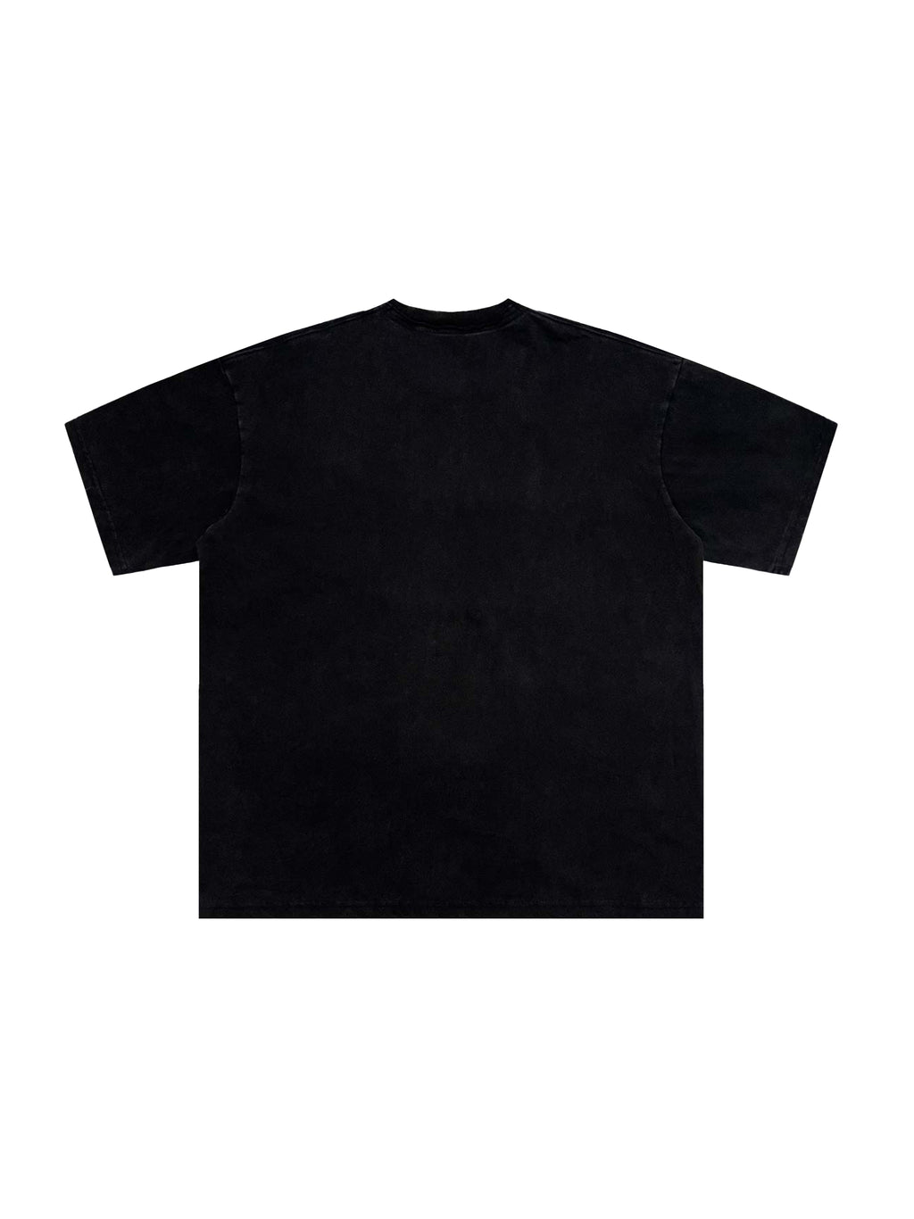Snow Washed Raw-Edge Neckline T-Shirt