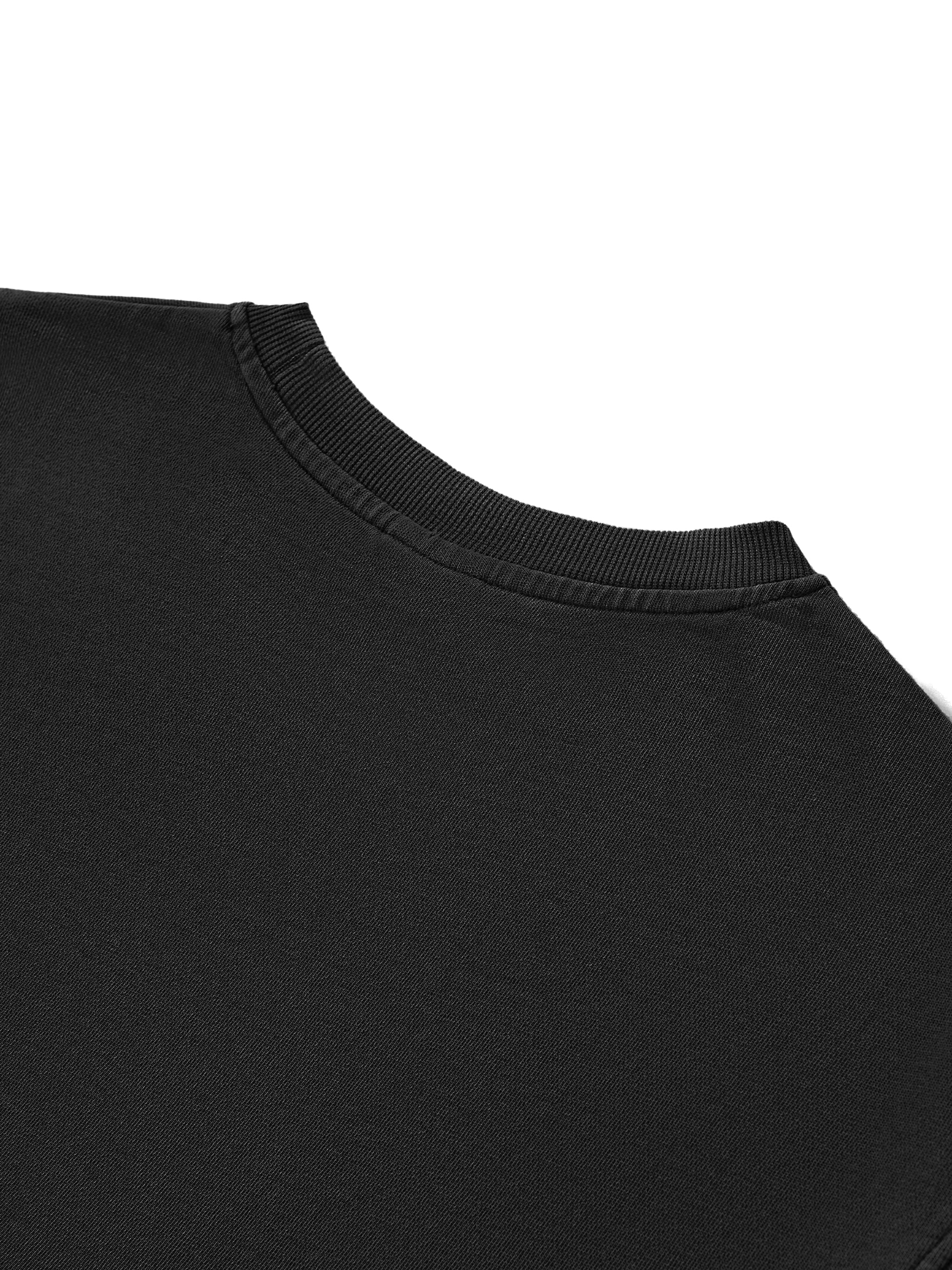 Snow Washed Raw Edge Crop Top