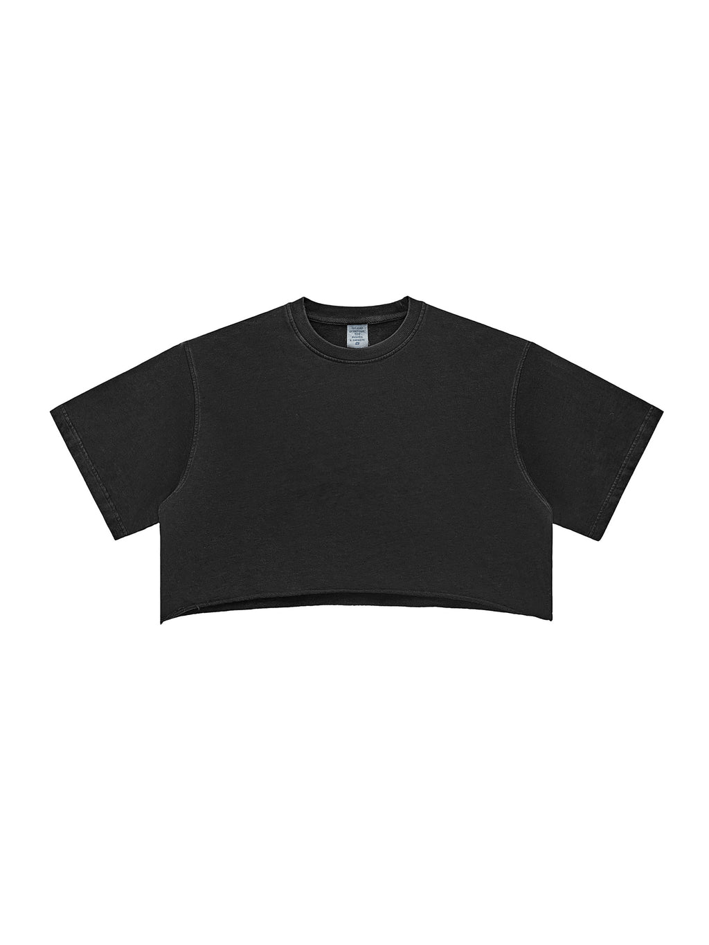 Snow Washed Raw Edge Crop Top