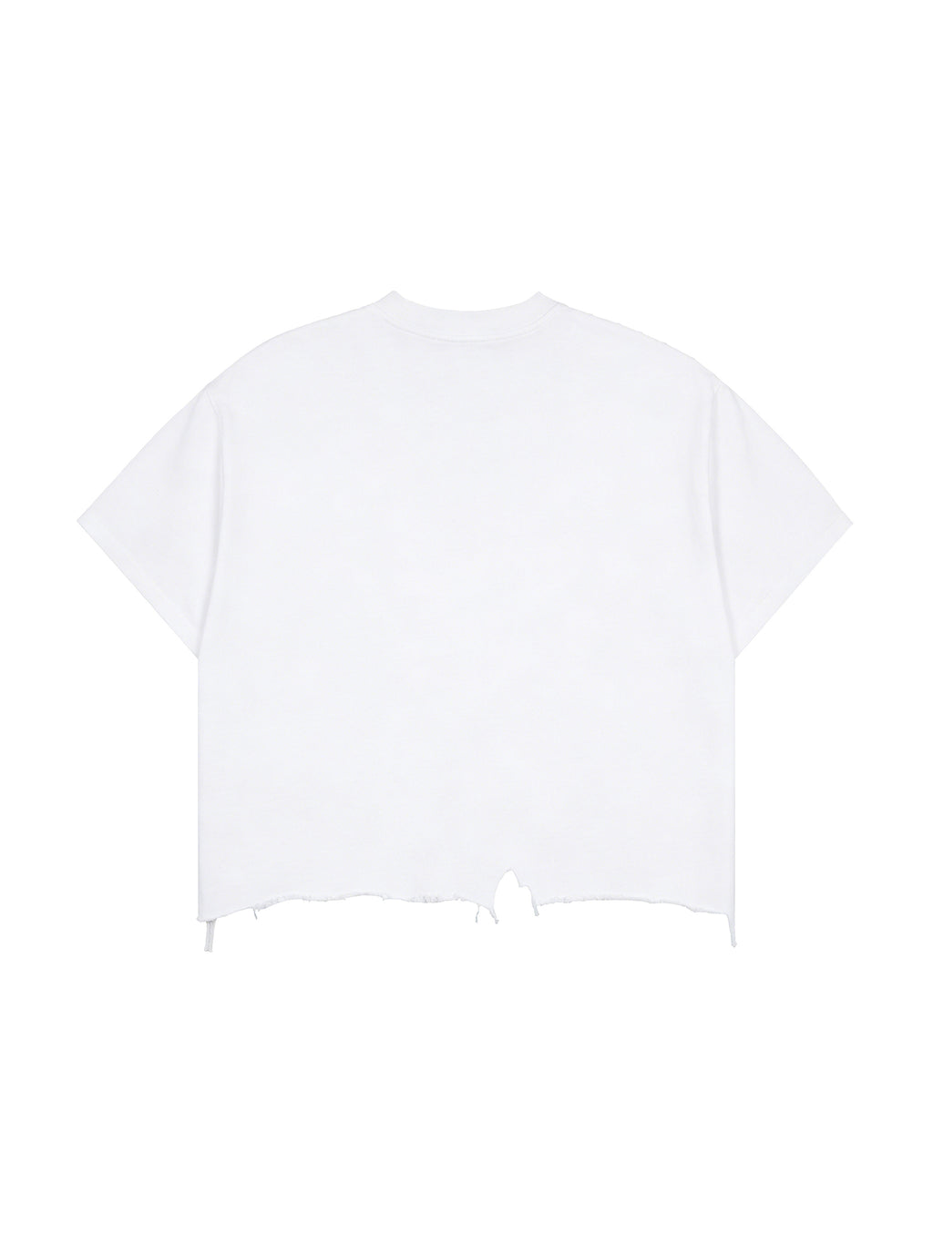 Vintage Wash Boxy Distressed Hem T-Shirt