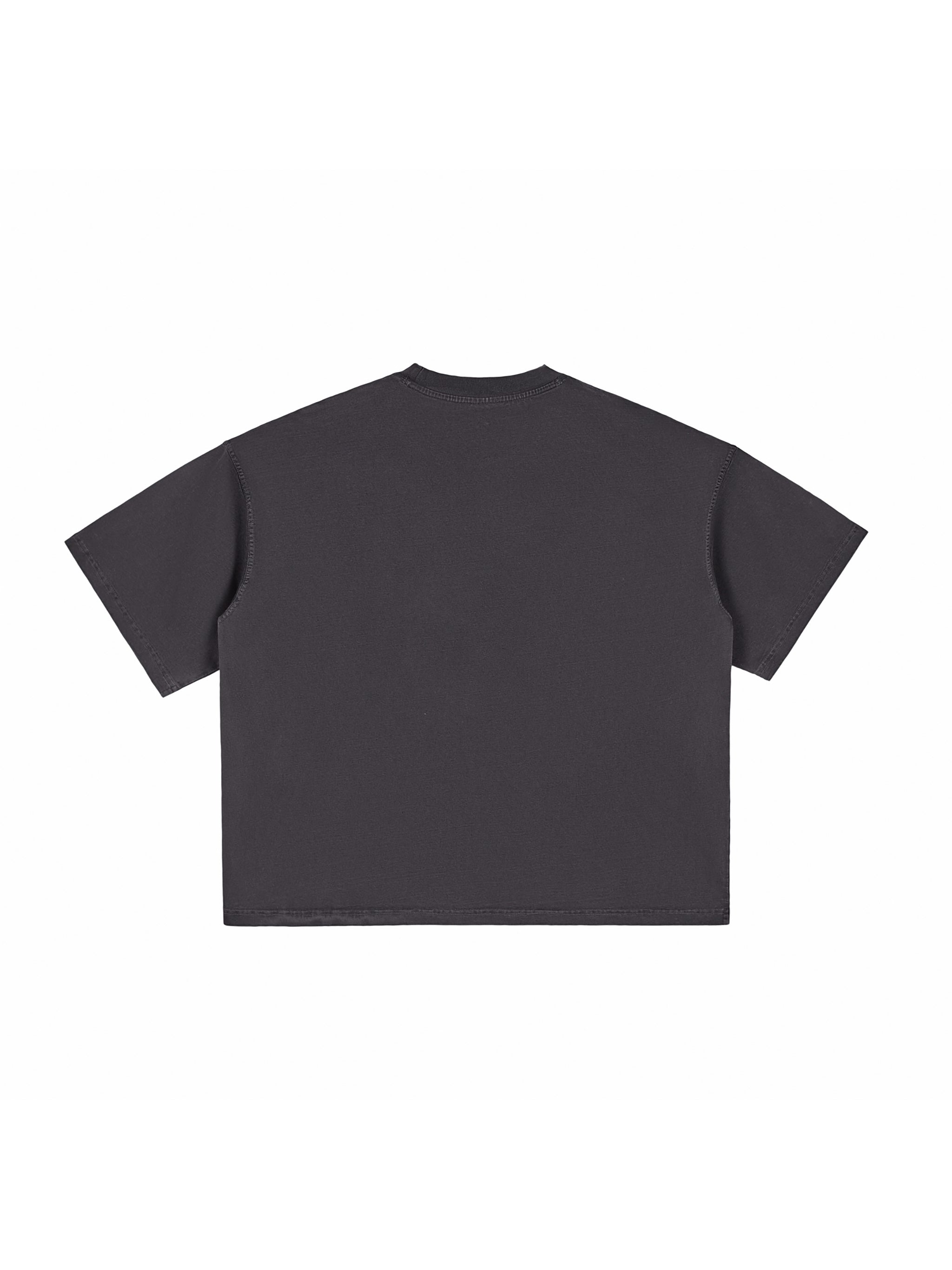 Vintage Washed Boxy T-Shirt