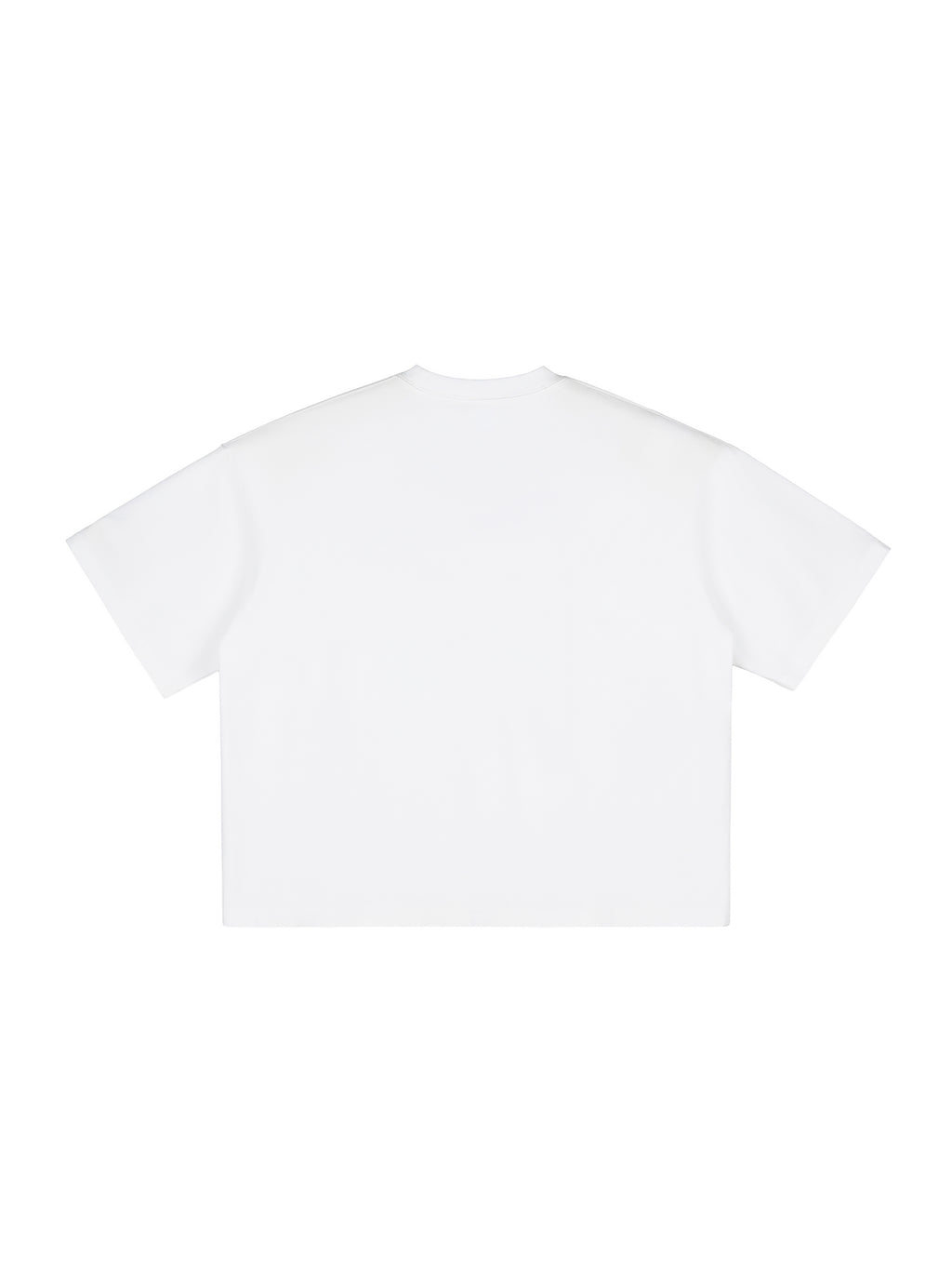 Vintage Washed Boxy T-Shirt