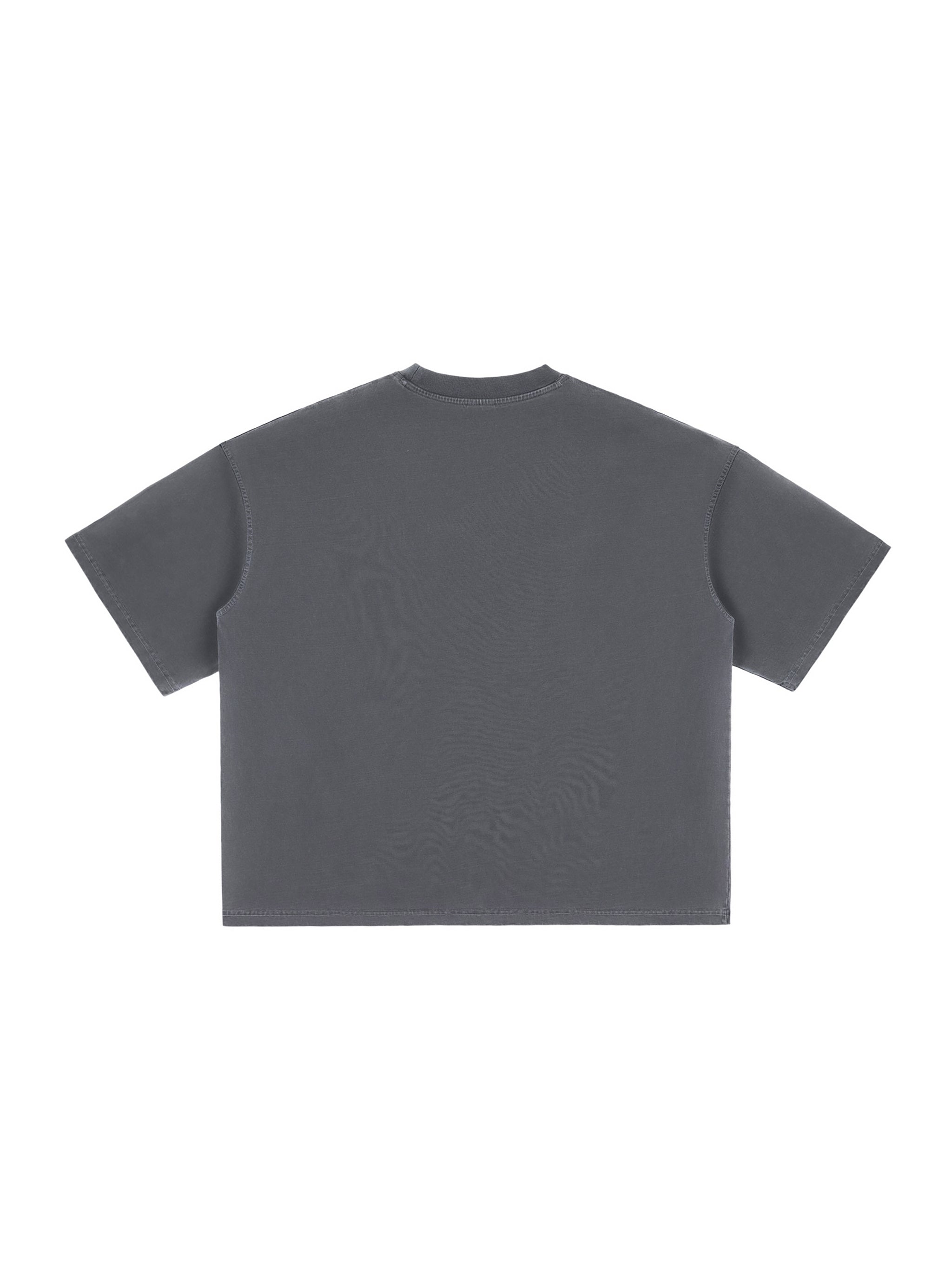 Vintage Washed Boxy T-Shirt