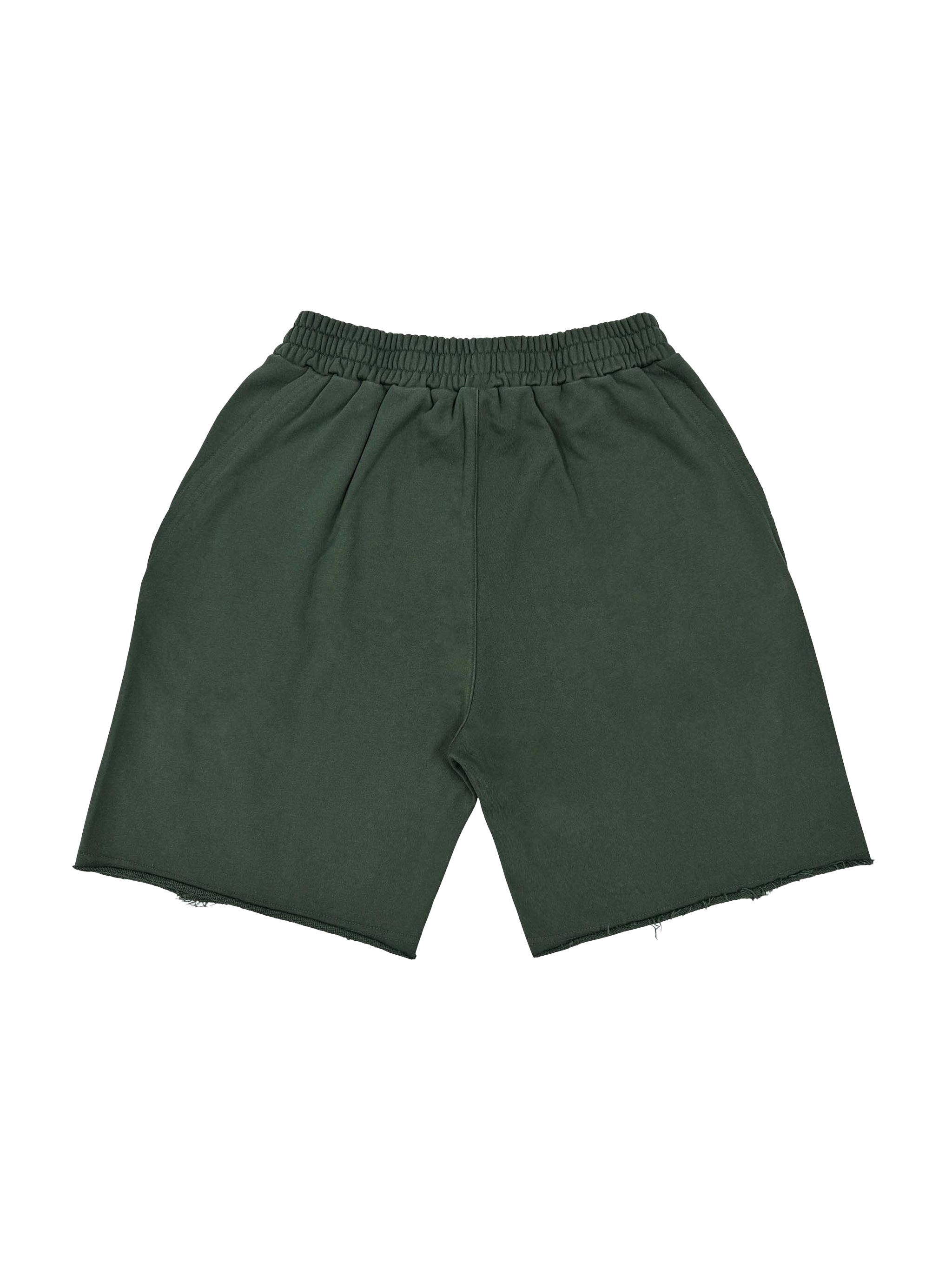 Vintage Washed Tiger Stripes Short Pants - Women