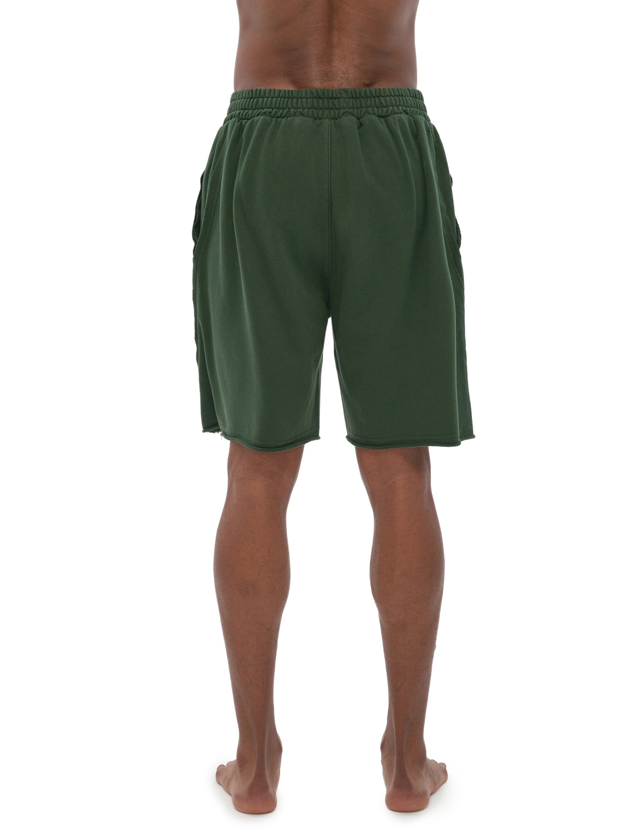 Vintage Washed Tiger Stripes Short Pants - Men