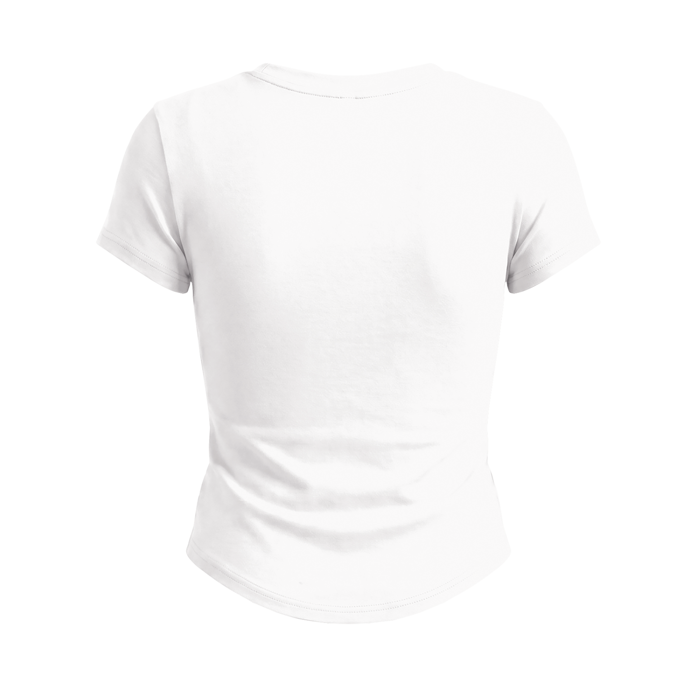 Women's Paneled Crop T-Shirt